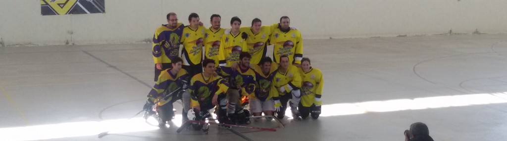 LSHN_TalaveraPortada