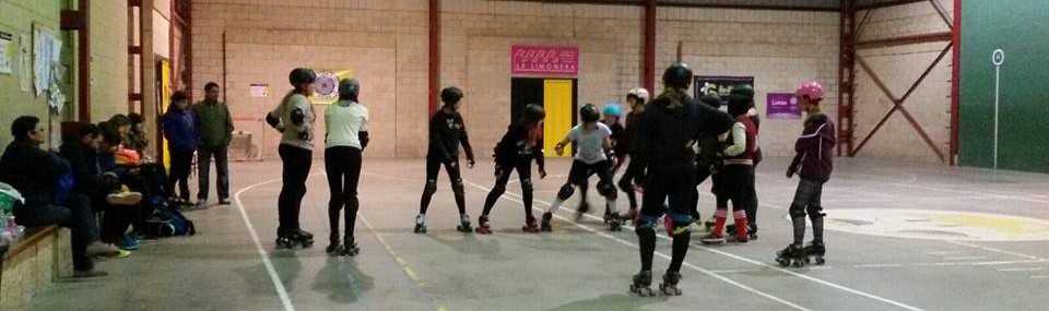 Rollerderby_portada