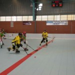 LSHNene161